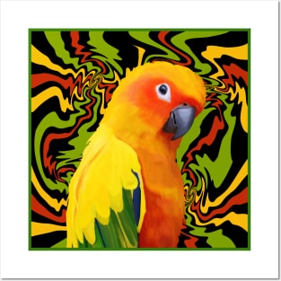 Colorful Sun Conure Parrot Posters and Art